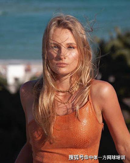 征服了德甲 征服了德甲