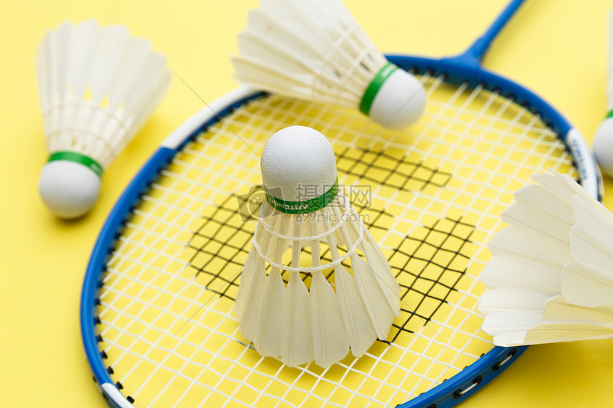 哈兰德的成 哈兰德的成